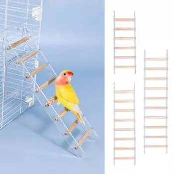 Подставка для птичьего насеста из натурального дерева для попугаев, принадлежности для попугаев, волнистые попугайчики, когтеточка для маленьких и средних попугаев, игрушка-подставка A