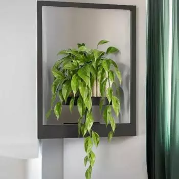 Подставка для растений из металлического каркаса Yousheng, настенная железная рама, подставка для растений в горшках, рамка для гостиной, балкона, офиса, настенный дисплей