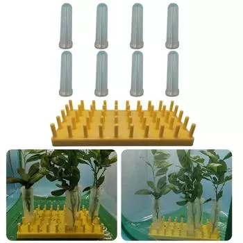 Подставка для растений Насекомые Растения Трубка для удержания воды емкостью 50 мл Здоровый рост предотвращает распространение болезней Подставка для растений жёлтый