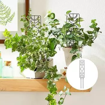 Подставка для восхождения растений Простая установка Прочная конструкция Антикоррозийная Устойчивая к атмосферным воздействиям подставка для растений чёрный