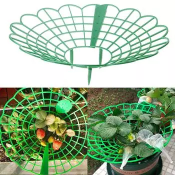 Подставки для клубники Подставка для защиты клубники Рамка для выращивания клубники для защиты клубники Избегайте земли
