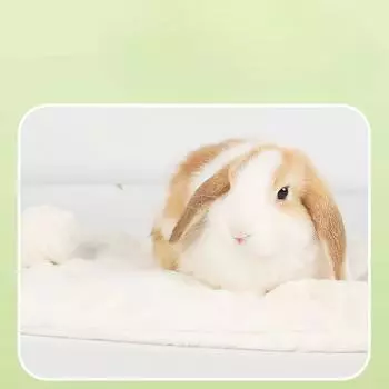Подстилка для кролика - прямоугольный спальный коврик из искусственного меха с хлопковым наполнителем, теплые зимние принадлежности для домашних животных для кроликов, шиншилл, хомяков 15x21cm&Square розовый