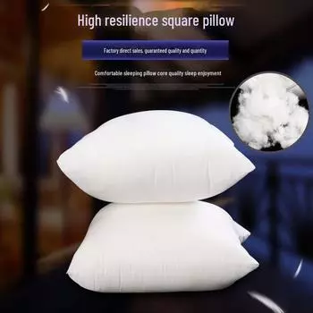 Подушка из высокоэластичного хлопкового наполнителя: Подушка для дивана и поддержка талии из матовой ткани 40x40 (350g)