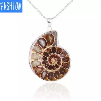 Подвеска из натуральной раковины из ископаемой раковины, морская раковина, ожерелье в виде животного, обычные ископаемые материалы для мужчин и женщин pendant