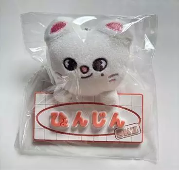 Подвеска на сумку-подвеску Stray Kids Fan Connecting SKZ TOY WORLD Jiniret Япония