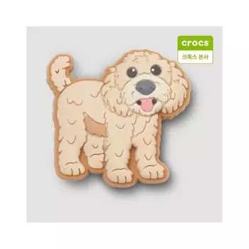 Подвеска-талисман Gibbitz для щенков золотистого дудла Crocs 10014890 onefree