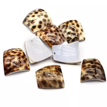 Подвеска в виде ракушки с леопардовым принтом на Хэллоуин, богемные мужские и женские подвески для самостоятельного изготовления ожерелья, брелока, раскройте творческий потенциал в изготовлении ювелирных изделий 3531 мм 2Pcs/3531mm