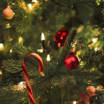 Подвеска в виде рождественского шара. Изысканный декор из пластиковых рождественских шаров. Декор рождественской елки. Полые шары. Подвеска в виде рождественского шара на Рождество. розы красного