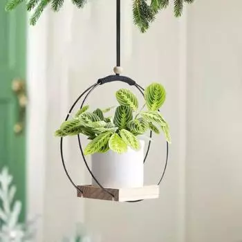 Подвесная подставка для растений, универсальный держатель для цветочных горшков с деревянным основанием, компактный держатель для комнатных растений, подарок для мам, любителей растений, новоселье чёрный