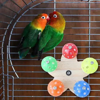 Подвесная жевательная игрушка попугай попугай красочный грызет для Conures волнистый попугайчик зяблик