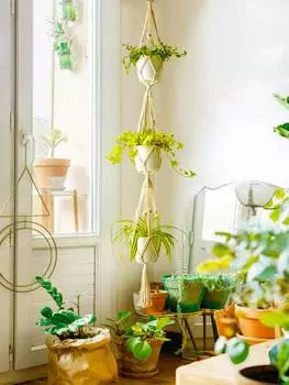 Подвесное растение ручной работы, макраме, вешалка для растений, цветочный горшок, вешалка для кашпо, настенный декор, подвесное кашпо для сада во дворе, подвесная корзина