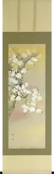 Подвесной свиток Kaitakudo Art Цветущая вишня и маленькие птички 190 x Ширина (Коробка Павловнии) (Высота 54,5см)