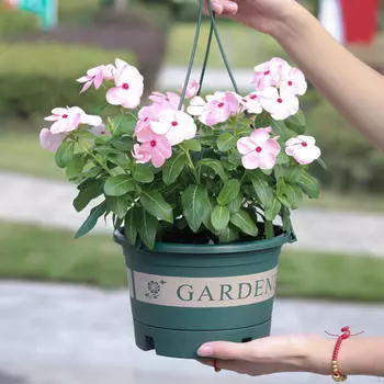 Подвесные кашпо Корзина Зеленая декоративная ваза для цветов Подарочные горшки Вешалка для растений M