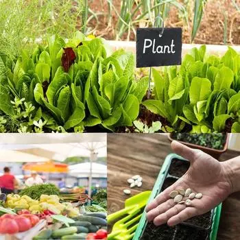 Подвесные стержни для этикеток. Практичные, не легко деформируемые. Широкое применение. Подвесные стержни для этикеток. Крючки для вывесок садовых растений. Подвесные стержни. Держатели бирок для растений. 20cm