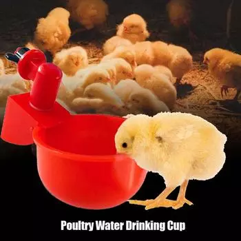 Поилка для курицы, поилка с автоматическим наполнением, поилка для птицы, поилка