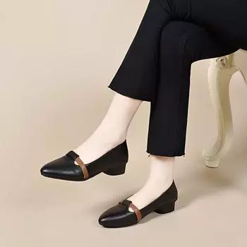 Pointed flat shoes women s spring and summer temperament Mary Jane shoes low heel light mouth color matching small single shoes 34