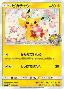 Pokemon Card Pikachu Game/PK-SM-P-224