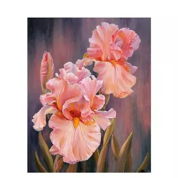 Полевой цветок розовый цветок DIY картина по номерам настенная художественная картина акриловая картина на холсте для украшения дома 40x50cm no frame