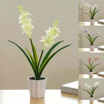 Полезный цветок бонсай, легкий, экологически чистый, гладкая поверхность белый