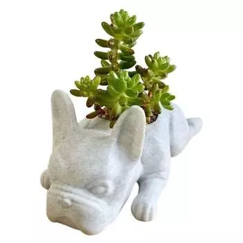 Полезный садовый горшок Креативный Легкий Декоративный A