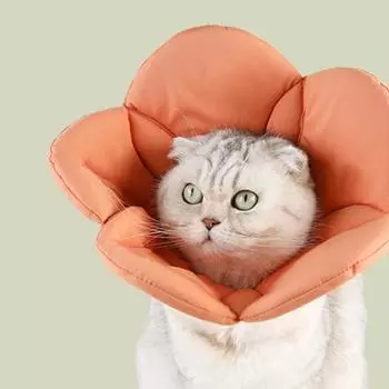 Полезный, удобный, легкий, защитный ошейник для домашних животных в форме цветка, средства для ухода за кошками, чистые принадлежности S