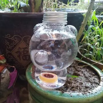 Поливочные шары с самополивом, самополивные шипы для растений в помещении и на открытом воздухе