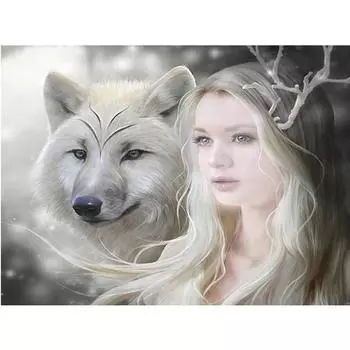 Полная 5D Diy Алмазная Картина Белая Лиса Фея Вышивка Крестом Домашний Декор Ручной Работы Подарок 25x30cm