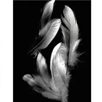 Полная 5D Diy Алмазная Картина Черное Перо Алмазная Вышивка Полная Вышивка Крестом Домашний Декор Ручной Работы Подарок 20x30cm