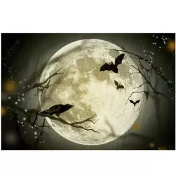 Полная 5D Diy Алмазная Картина Черный Дрозд Под Луной Вышивка Крестом Домашний Декор Ручной Работы 20X25CM