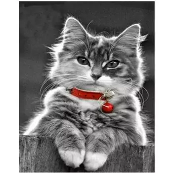Полная 5D Diy Алмазная Картина Колокольчик Кошка Вышивка Крестом Домашний Декор Ручной Работы Подарок 20X25CM