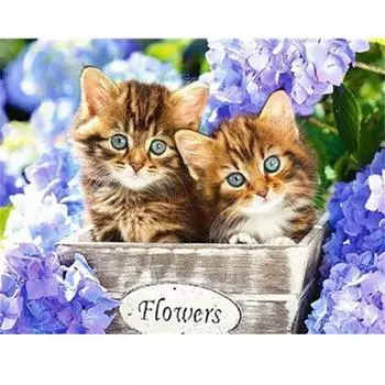 Полная 5D Diy Алмазная картина Милый кот Алмазная вышивка Полный набор для вышивки крестом Аниме Домашний декор Подарок ручной работы Round 20x30cm