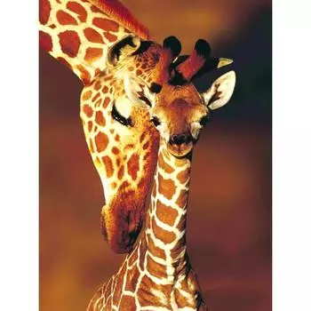 Полная 5D Diy Алмазная Картина Мозаика Вышивка Крестом Домашний Декор Ручной Работы Подарок 20X25CM