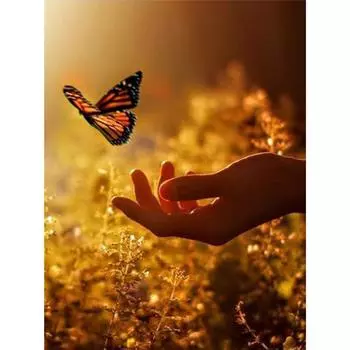 Полная 5D Diy Алмазная Картина Мультфильм Летающая Бабочка Вышивка Крестом Домашний Декор Ручной Работы 25x30cm