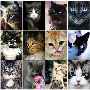 Полная Алмазная картина Кот 5D Diy Алмазная вышивка Животное Мозаика Картина Украшение дома 20X30CM красный