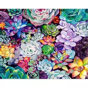 Полная алмазная живопись, вышивка крестиком, суккулентные растения, картины из стразов, мозаика, цветок, подарок ручной работы, 40 Full Round 20x30CM