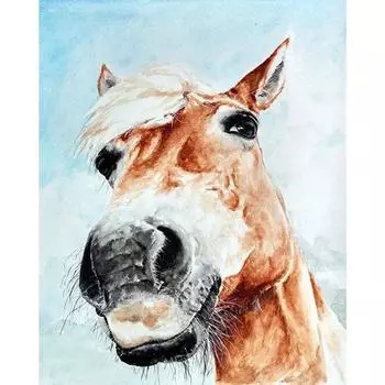 полная дрель алмазная живопись лошади алмазная живопись 20X30CM