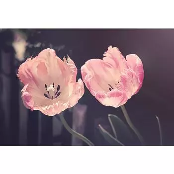 Полная дрель DIY Алмазная картина Подсолнухи 5D Вышивка Цветы Вышивка крестом 20X30CM