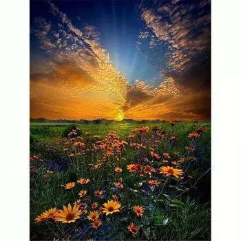 Полная круглая алмазная картина цветок небо вышивка пейзаж вышивка крестом картины из стразов изделия ручной работы 30x40 см 30x40cm NO Frame