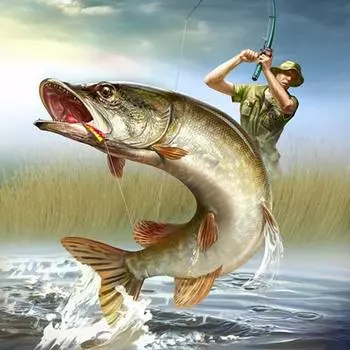 Полная круглая алмазная краска, картина, вышивка, алмазная вышивка, инструменты для вышивки крестом, алмазные инструменты 20*20cm разноцветный