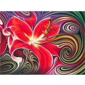 Полная круглая Алмазная вышивка 5d Diy Алмазная картина Цветок Фэнтези Вышивка крестом Мультфильм цветочный 20X30CM