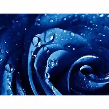 Полная круглая алмазная вышивка Blue Enchantress 5D DIY Алмазная картина вышивка крестом Стразы 20X30CM