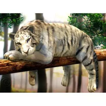 Полная круглая алмазная вышивка Ленивый тигр 5D DIY Алмазная картина Вышивка крестом Стразы 20X30CM