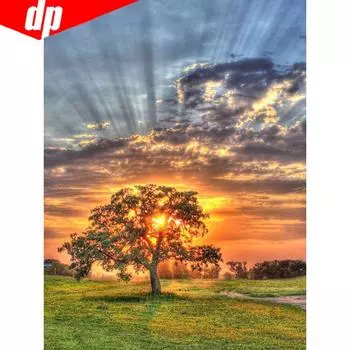 Полные круглые алмазные картины Пейзаж 5d Алмазная вышивка Алмазная мозаика Изображение 20X30