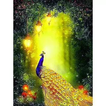 Полные квадратные дрели 5D Алмазная вышивка DIY алмазная живопись павлин фотографии домашний декор 20*30 cm