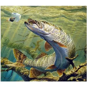 Полный 5D Diy Алмазная картина Акула Вышивка Крестом Домашний декор Ручной подарок Подарок 25x30cm