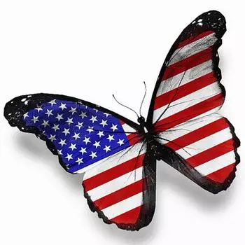 Полный 5D Diy Алмазная картина Бабочка Флаг Алмазная вышивка Полный лежал вышивка крестом Домашний декор Подарок ручной работы 25x25cm