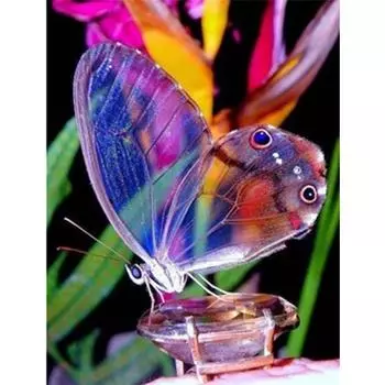 Полный 5D Diy Алмазная картина Бабочка в цветах Вышивка крестом Домашний декор Ручной подарок 25x30cm