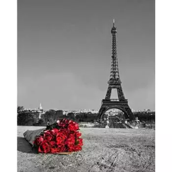 Полный 5D Diy Алмазная картина Башня Роза Вышивка Крестом Домашний Декор Ручной Подарок 25x30cm