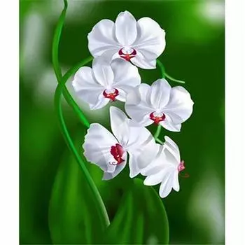 Полный 5D Diy Алмазная картина Белый цветок Вышивка Крестом Домашний декор Ручной подарок 25x30cm