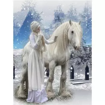 Полный 5D Diy Алмазная картина Благородный белый конь Дрель Вышивка Крестом Домашний Декор Ручная работа 25x30cm